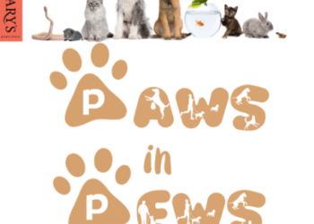 Brighton church opens its doors to all creatures great and small