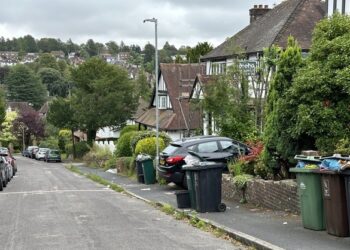 Council blames missed bin collections in Brighton street on scaffolding