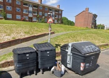 Why residents wants double yellow lines to keep rats at bay