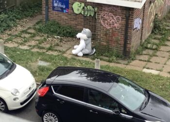 Is this your giant husky?