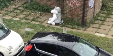 Is this your giant husky?