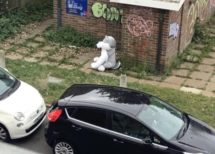 Is this your giant husky?