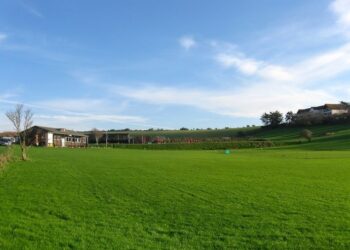 Cricket club bids to extend licence for fundraising events