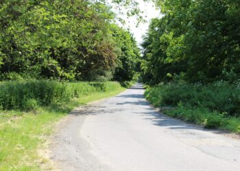Repairs made to potholes in Stanmer Park