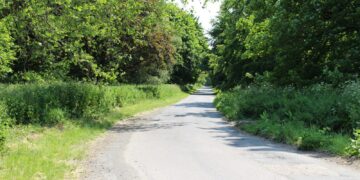 Repairs made to potholes in Stanmer Park