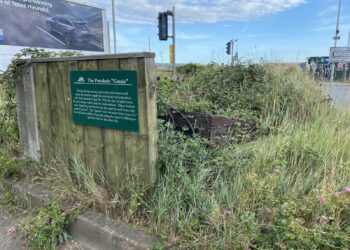 Weed-ridden historic boat will not be made ship-shape
