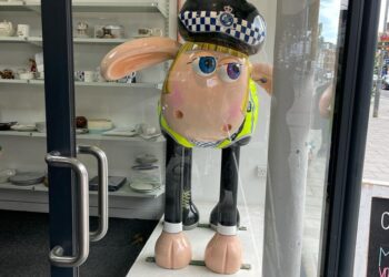 Vandalised sheep sculpture moved to charity shop