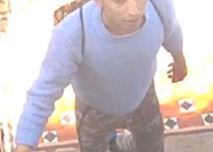 CCTV released after dog walker attacked near The Level Brighton and