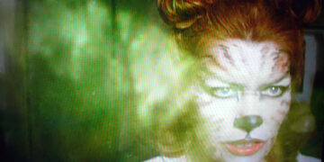 Cinecity prepares a packed programme for Brighton film lovers