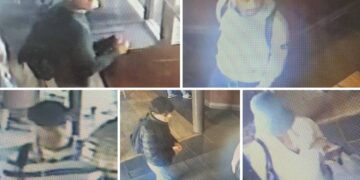 Detectives hunt Harvester distraction thieves