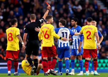 Sheffield steel a draw as Albion lose their heads