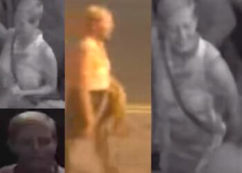 Woman sexually assaulted at Hove pub