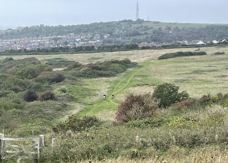 Woman attacked after confronting off-road biker