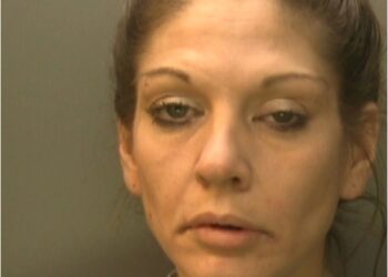 Hove serial fraudster jailed