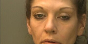 Hove serial fraudster jailed
