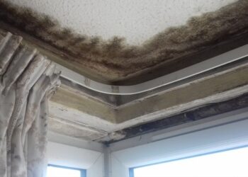 Tenants tell council not to blame them for damp and mould