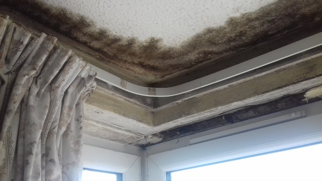 Tenants tell council not to blame them for damp and mould
