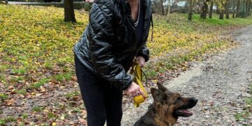 Woman sought in connection with Brighton dog attack