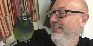 Susan the parrot found following three-day search