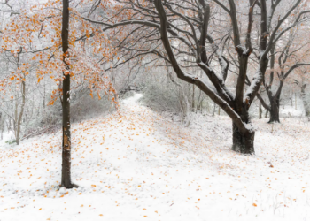Snowy shot of hill just outside Brighton wins photo competition