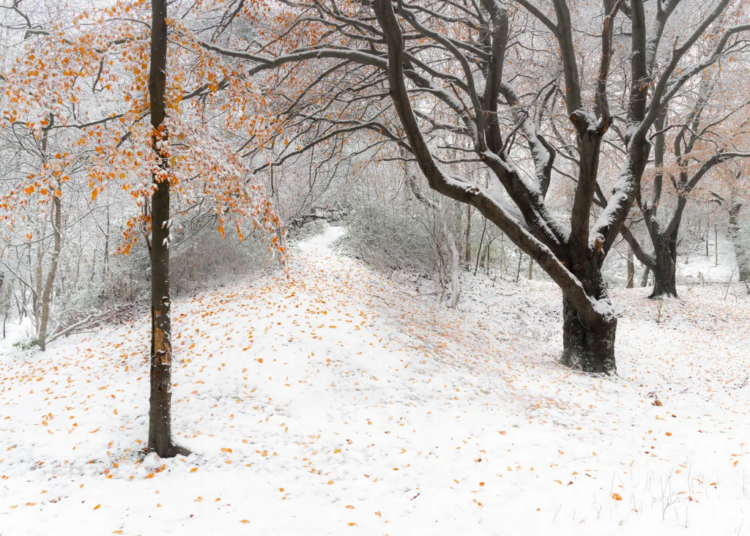 Snowy shot of hill just outside Brighton wins photo competition