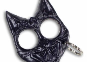 Addict caught with cat-shaped knuckle duster begs to be sent to prison