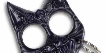 Addict caught with cat-shaped knuckle duster begs to be sent to prison