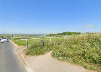 Public warned after dead rats found and dog poisoned by pellets in Brighton park