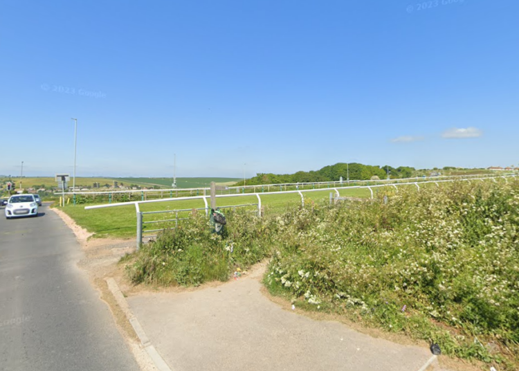 Public warned after dead rats found and dog poisoned by pellets in Brighton park