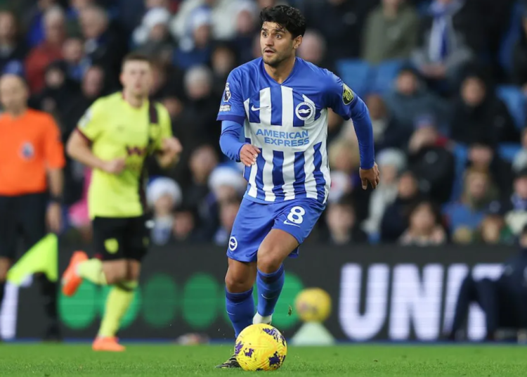 Brighton and Hove Albion midfielder goes out on loan