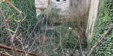 Tiny plot of wasteland sells for almost £0.25m