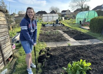 Allotment holders to discuss growing concerns with council
