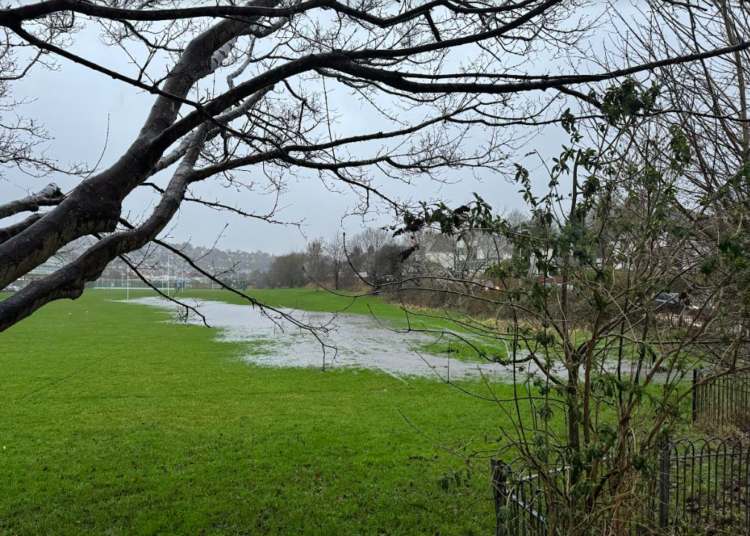 Campaigners raise alarm about sewage and Royal Mail plans with council