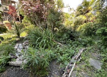 Green project for schools given funding reprieve