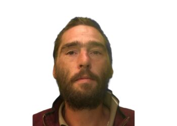 Dangerous dog spared destruction after attacking stranger