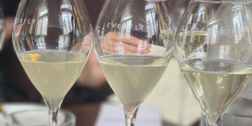 Brighton’s closest vineyard takes flyht