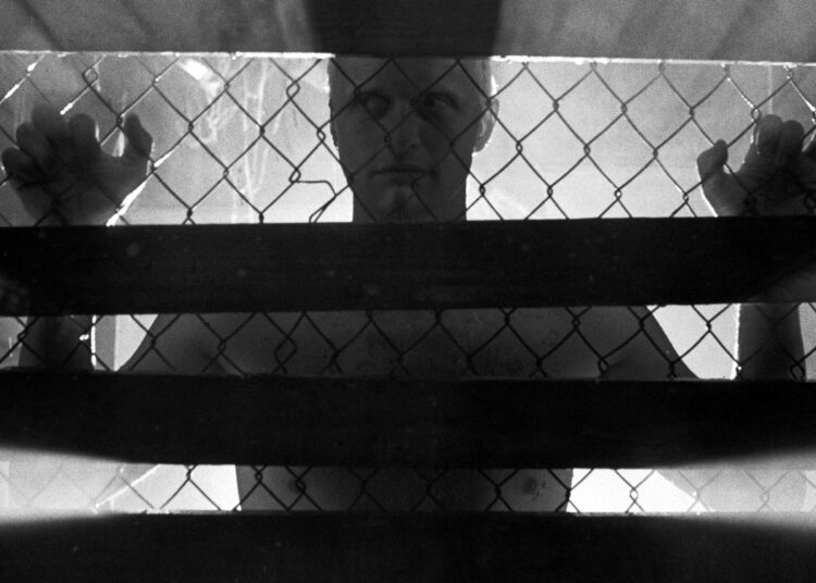 ‘Blade Runner Live’ coming to Brighton Centre