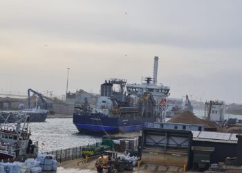 Neighbours frustrated with months of noise from Shoreham Port