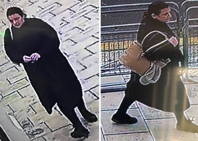 Police want help to find woman suspected of causing criminal damage