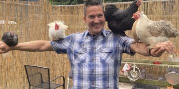 Charity tries out chicken therapy