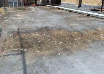 Theatre Royal’s stage closes so crumbling concrete roof can be removed