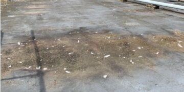 Theatre Royal’s stage closes so crumbling concrete roof can be removed