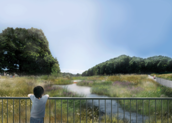 Wild Park rainscape work begins