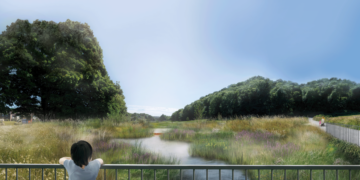 Wild Park rainscape work begins
