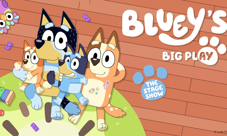 Bluey pushes election count out to Portslade