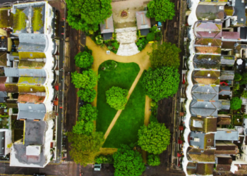 Drone deployed to spot signs of elm disease