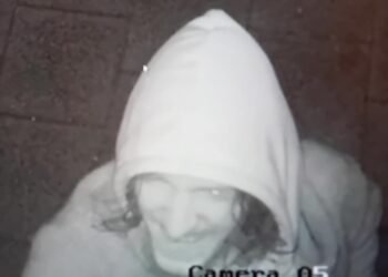 Arson suspect wanted by police