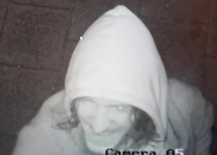 Arson suspect wanted by police