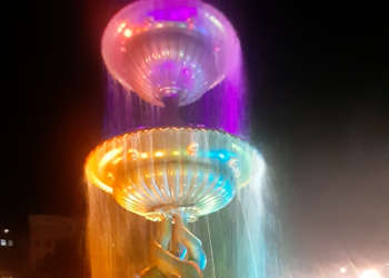 Fountain turned off to let seagulls escape