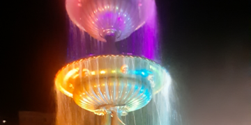 Fountain turned off to let seagulls escape